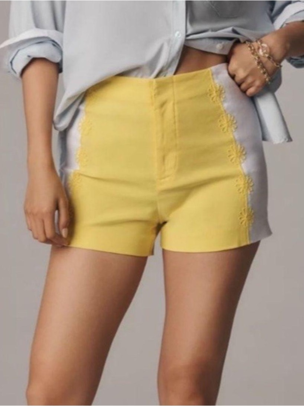 Maeve Anthropologie 🍋 Surf City Linen Embroidered Shorts NWT Size 2
